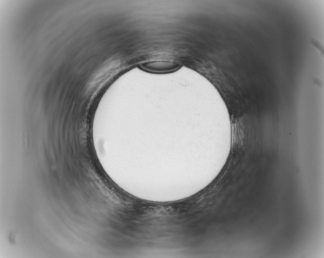 X0000102030243200808151349