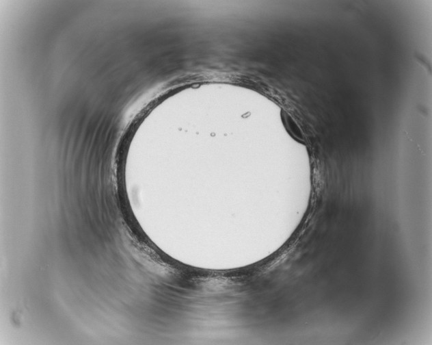 X0000102030246200808151349