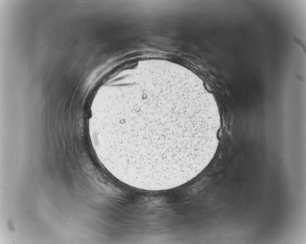 X0000102030247200808151349