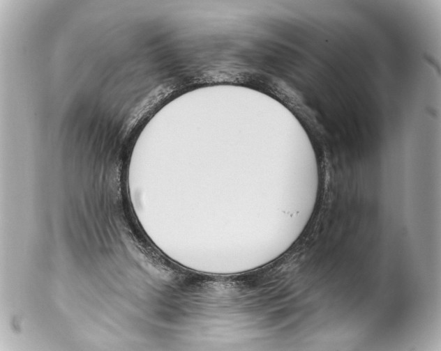 X0000102030250200808151349