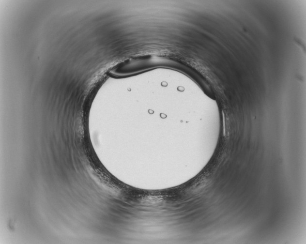 X0000102030252200808151349