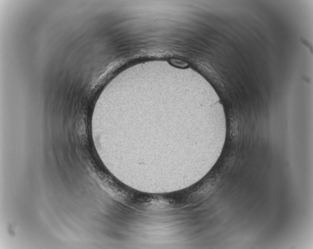 X0000102030256200808151349