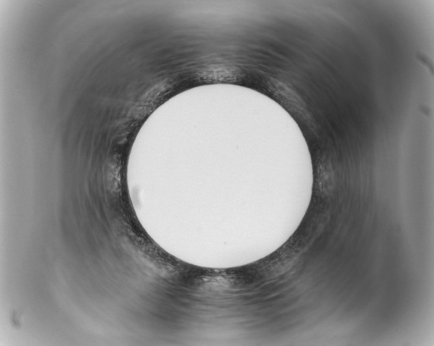 X0000102030259200808151349