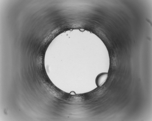 X0000102030260200808151349