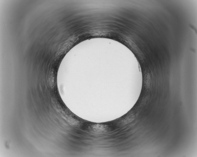 X0000102030261200808151350