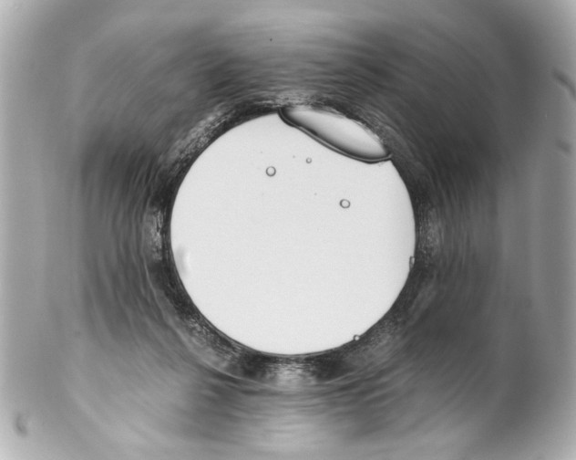 X0000102030264200808151350