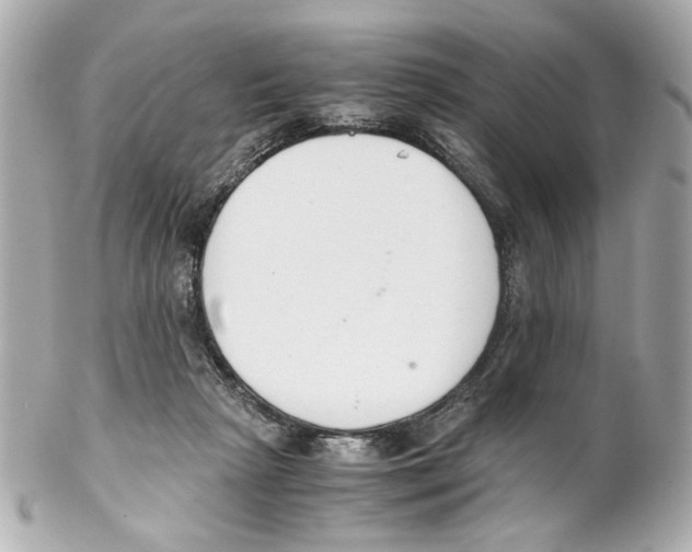 X0000102030265200808151350