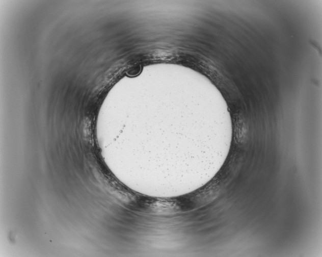 X0000102030270200808151350