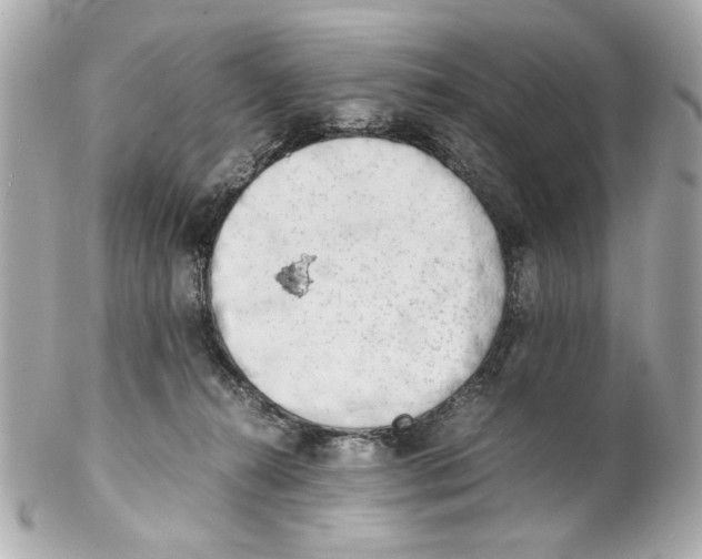 X0000102030272200808151350