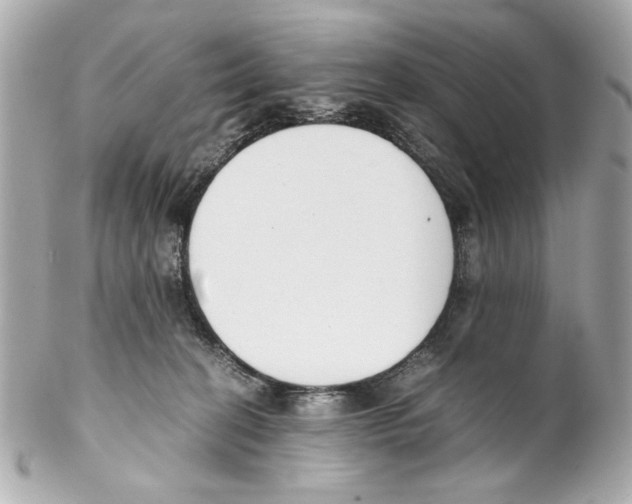 X0000102030274200808151350