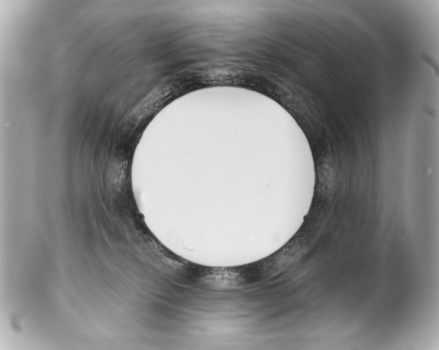 X0000102030278200808151350