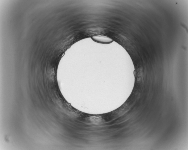 X0000102030279200808151350