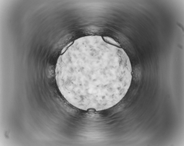 X0000102030284200808151350