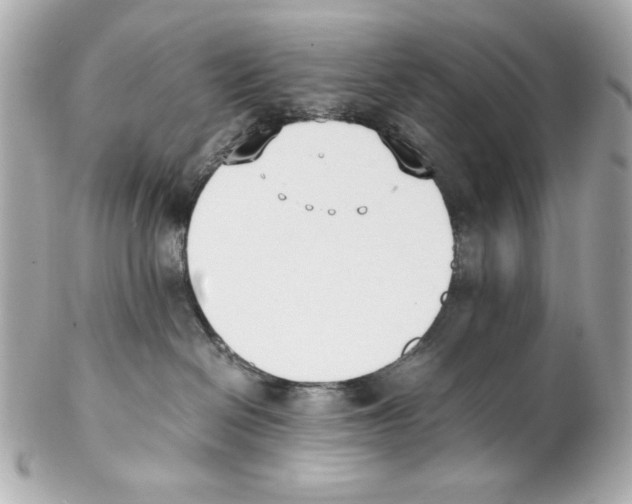 X0000102030286200808151350