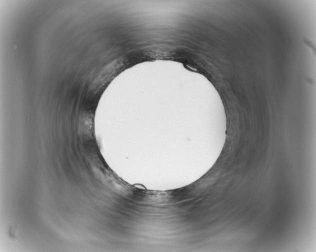 X0000102030288200808151350