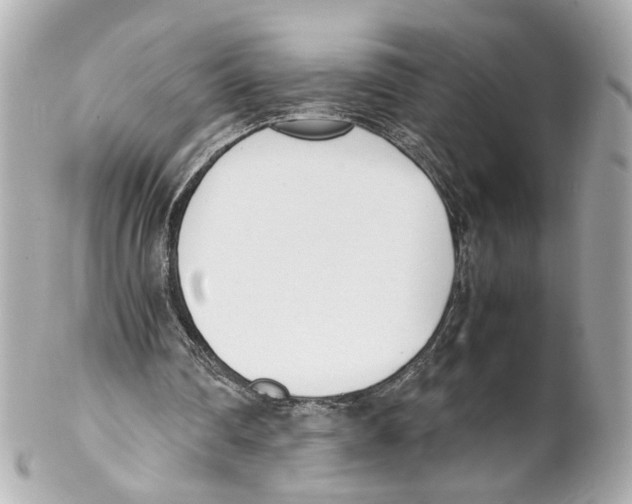 X0000102030290200808151349