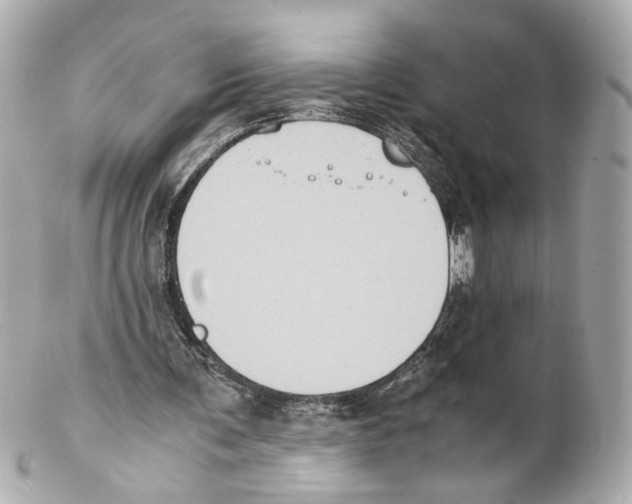 X0000102030291200808151349