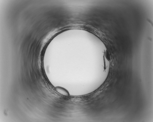 X0000102030294200808151349