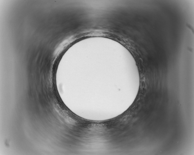 X0000102030296200808151349