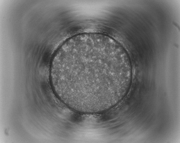 X0000102030297200808151349