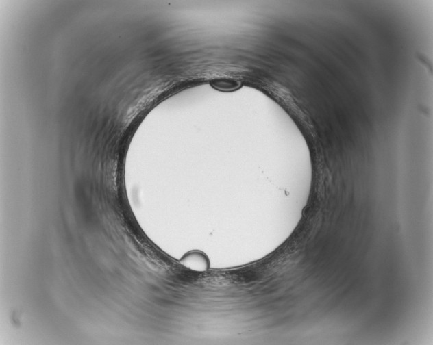 X0000102030299200808151349