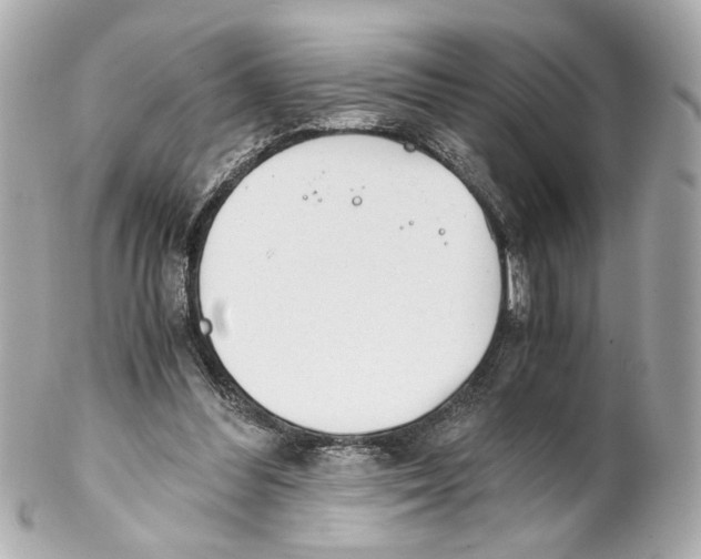 X0000102030300200808151349