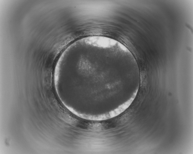 X0000102030301200808151349