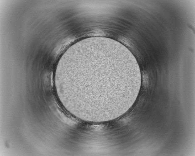 X0000102030302200808151349