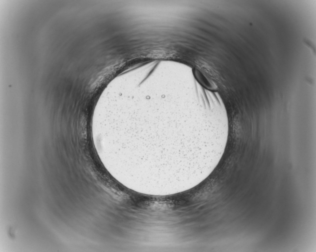 X0000102030303200808151349