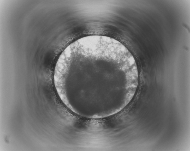 X0000102030305200808151349