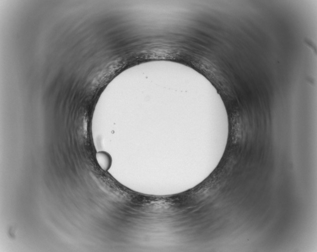 X0000102030310200808151349