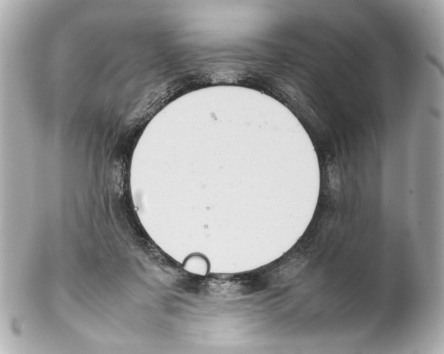 X0000102030311200808151349