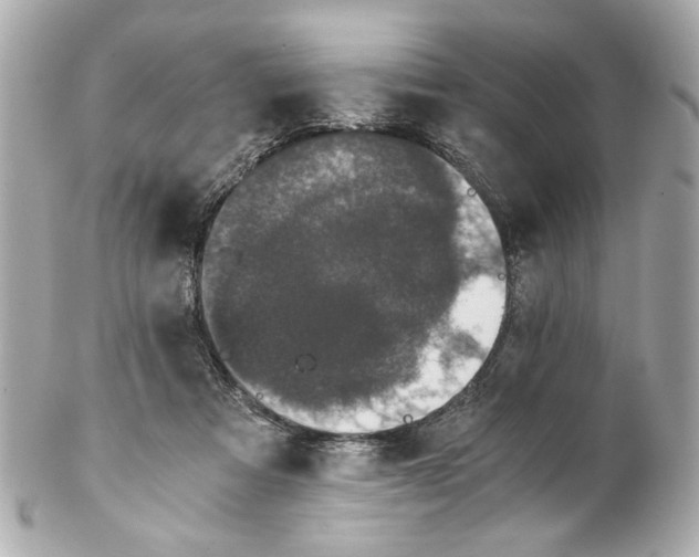 X0000102030313200808151349