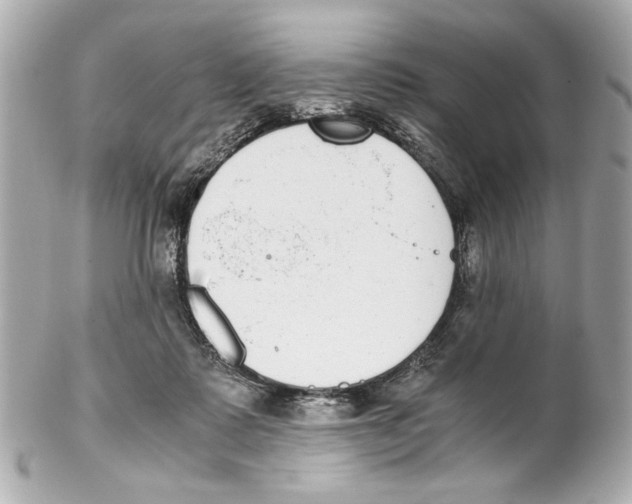 X0000102030315200808151349