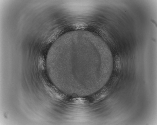 X0000102030316200808151349