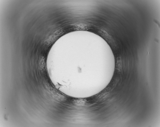 X0000102030318200808151349