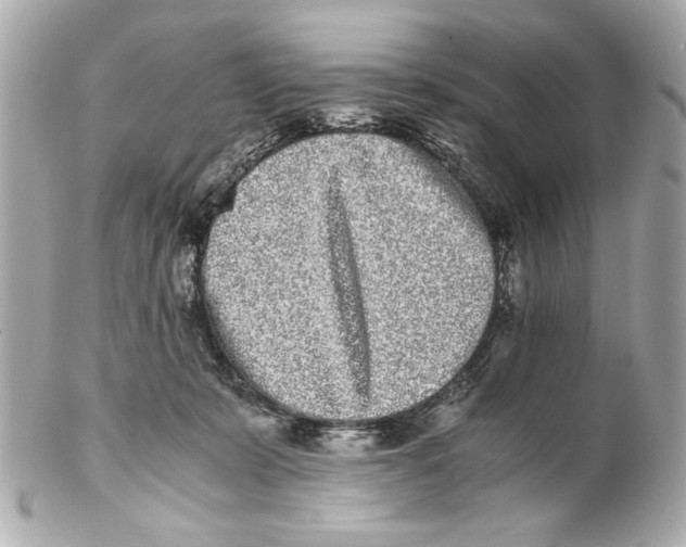 X0000102030319200808151348