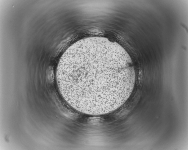 X0000102030320200808151348