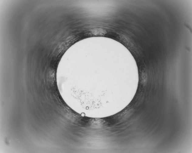 X0000102030321200808151348