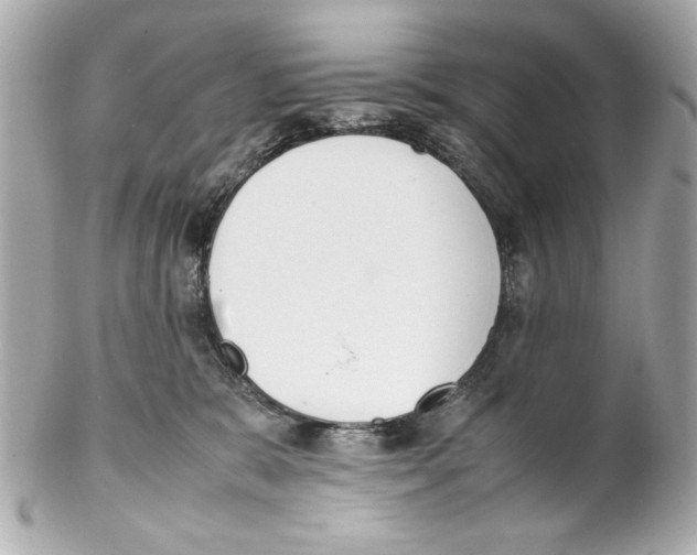 X0000102030327200808151348