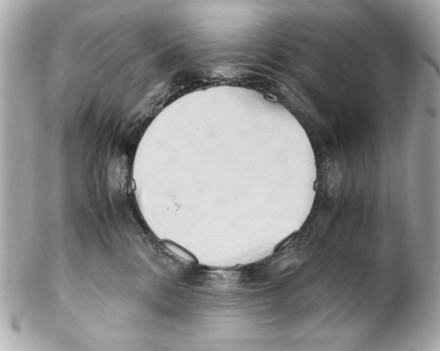 X0000102030328200808151348