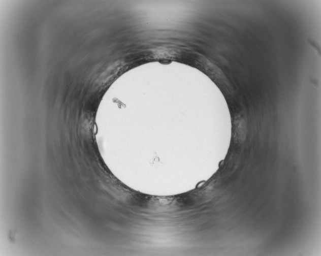 X0000102030329200808151348