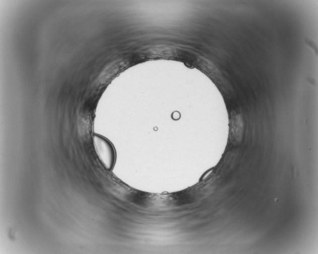 X0000102030333200808151348