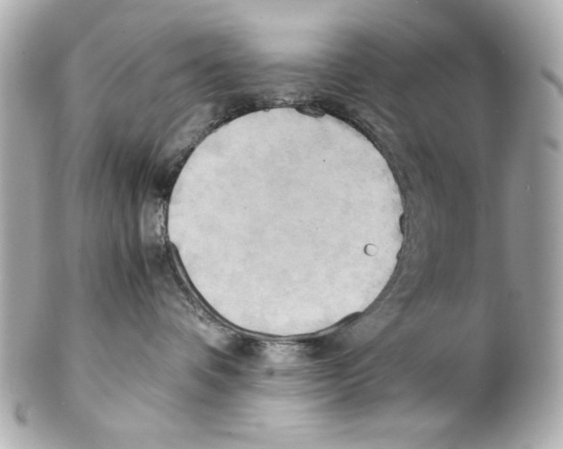 X0000102030336200808151348