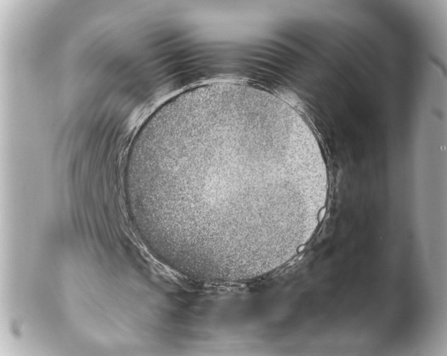 X0000102030337200808151347