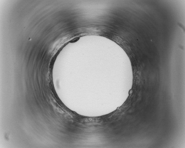 X0000102030338200808151347