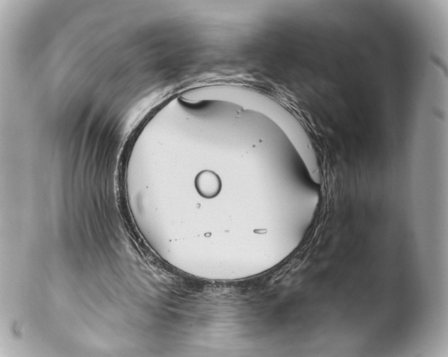 X0000102030340200808151347