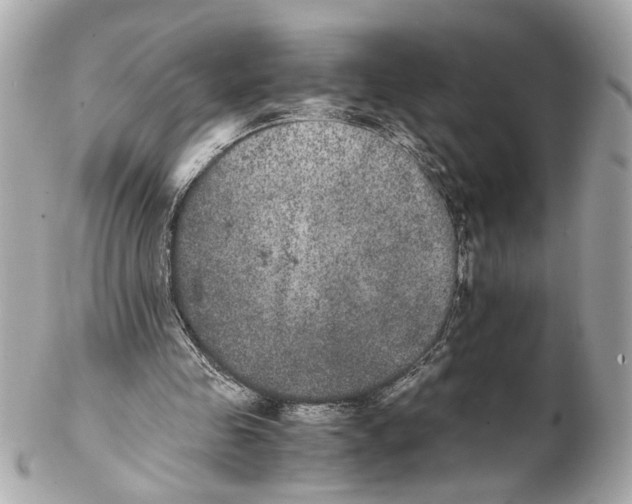 X0000102030341200808151347