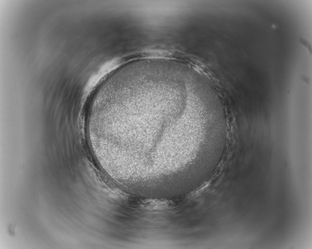 X0000102030343200808151347