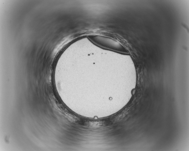 X0000102030344200808151347